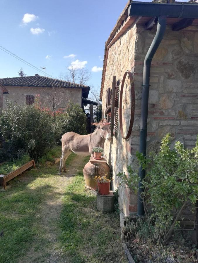 Agriturismo Grecinella Casole dʼElsa Exterior foto
