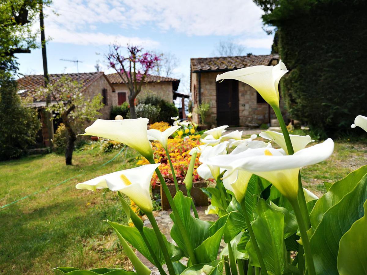 Agriturismo Grecinella Casole dʼElsa Exterior foto